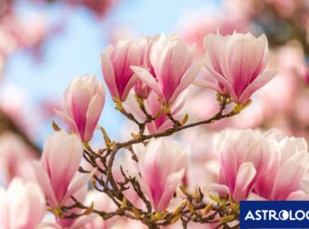 Διάβασε την προσωπική σου πρόβλεψη, για σήμερα 19/03/2026