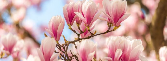 Διάβασε την προσωπική σου πρόβλεψη, για σήμερα 19/03/2026