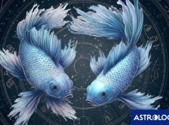 Ξεδιπλώνοντας τις κρυφές, σιωπηλές κι ανθεκτικές δυνάμεις του Ιχθύ