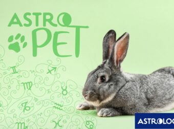AstroPet από 10/03 έως 16/03: Εβδομαδιαίες προβλέψεις για το κατοικίδιό σου