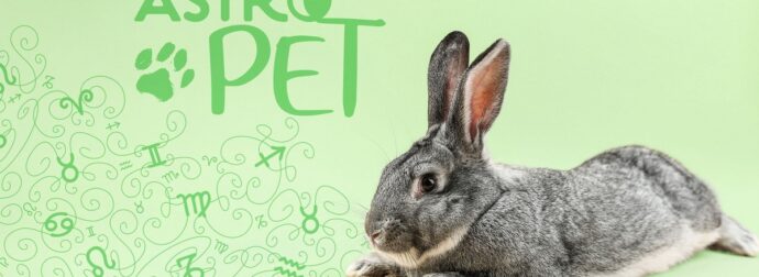 AstroPet από 10/03 έως 16/03: Εβδομαδιαίες προβλέψεις για το κατοικίδιό σου