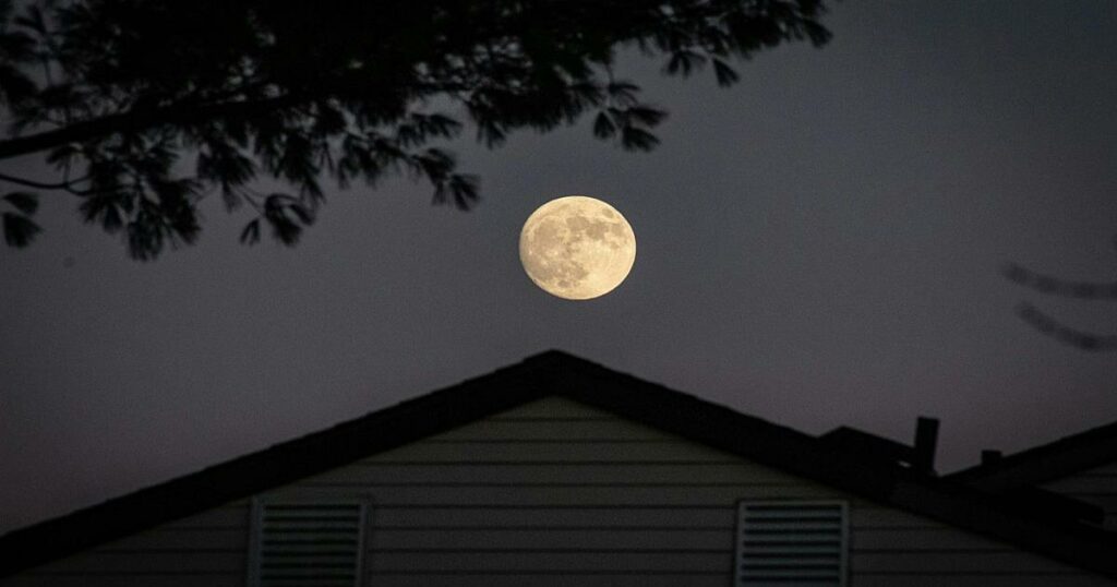 Νέα Σελήνη στους Ιχθύς 18 Μαρτίου 2026: Το «κλείσιμο» ενός μεγάλου κύκλου και τα 3 ζώδια που θα δουν τη ζωή τους να αλλάζει – Η επιρροή του ανάδρομου …