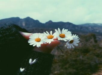 Ζώδια 27/3: Ευνοϊκή η Παρασκευή για Δίδυμους, Λέοντες και 5 ακόμη