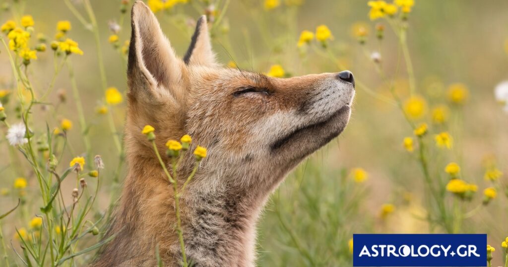 Διάβασε την προσωπική σου πρόβλεψη, για σήμερα 30/03/2026