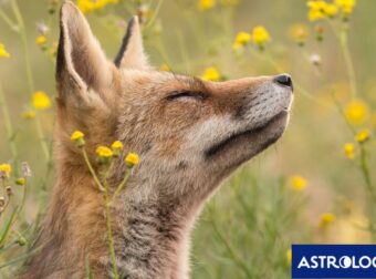 Διάβασε την προσωπική σου πρόβλεψη, για σήμερα 30/03/2026