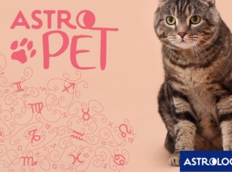AstroPet από 03/03 έως 09/03: Εβδομαδιαίες προβλέψεις για το κατοικίδιό σου
