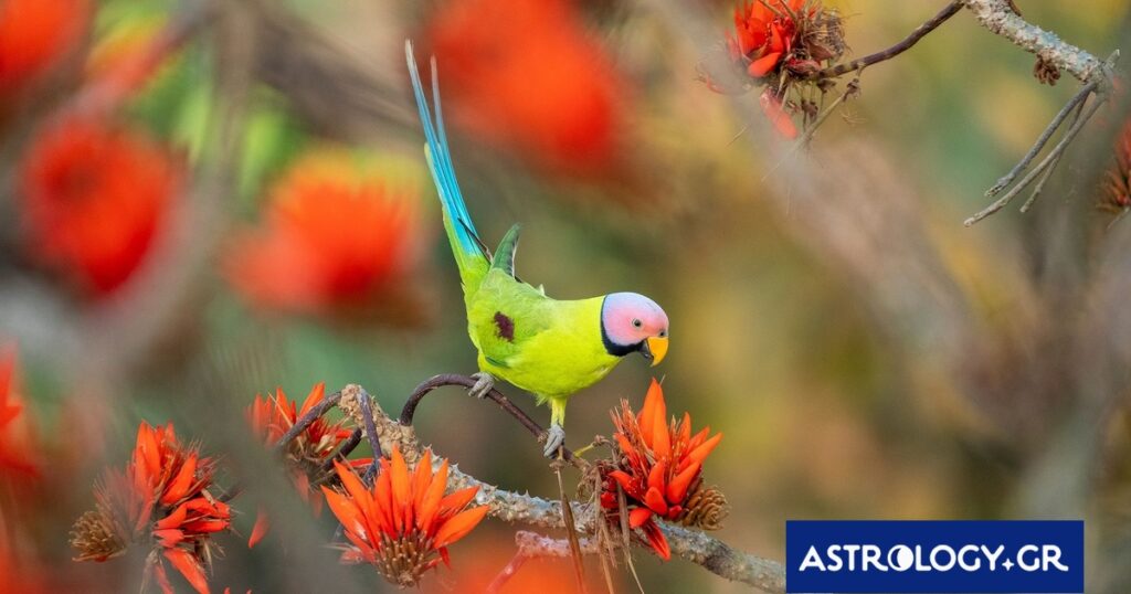 Διάβασε την προσωπική σου πρόβλεψη, για σήμερα 12/03/2026