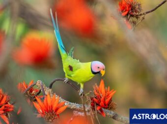 Διάβασε την προσωπική σου πρόβλεψη, για σήμερα 12/03/2026