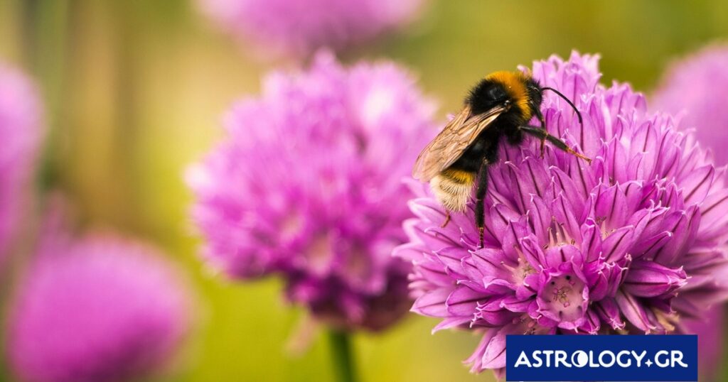 Διάβασε την προσωπική σου πρόβλεψη, για σήμερα 15/03/2026