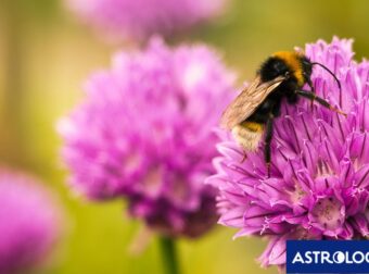 Διάβασε την προσωπική σου πρόβλεψη, για σήμερα 15/03/2026