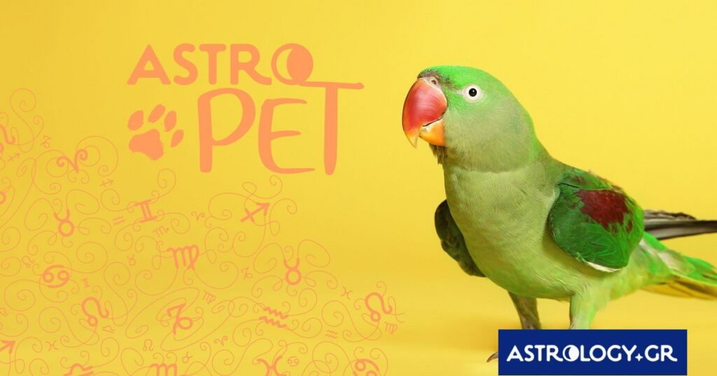 AstroPet από 17/03 έως 23/03: Εβδομαδιαίες προβλέψεις για το κατοικίδιό σου