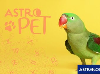 AstroPet από 17/03 έως 23/03: Εβδομαδιαίες προβλέψεις για το κατοικίδιό σου