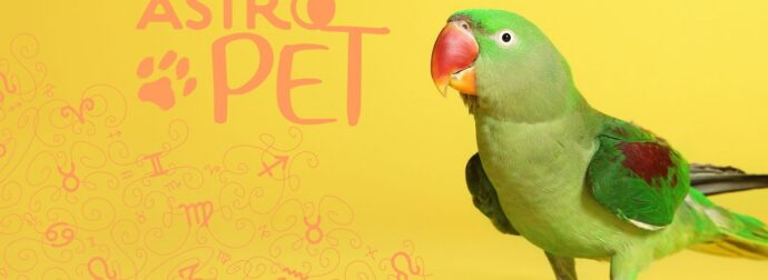 AstroPet από 17/03 έως 23/03: Εβδομαδιαίες προβλέψεις για το κατοικίδιό σου
