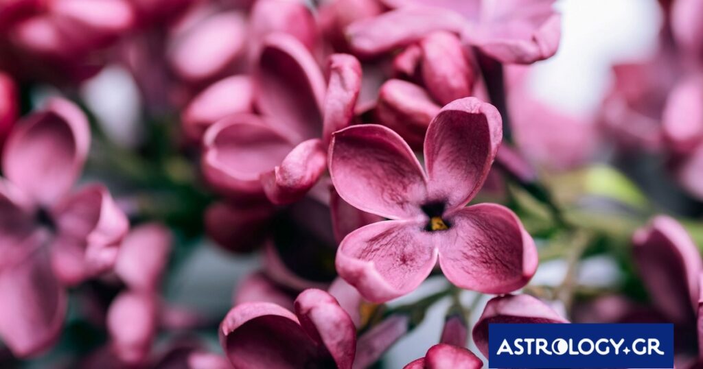 Διάβασε την προσωπική σου πρόβλεψη, για σήμερα 31/03/2026