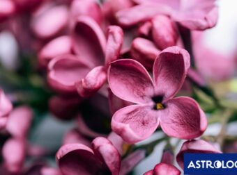 Διάβασε την προσωπική σου πρόβλεψη, για σήμερα 31/03/2026