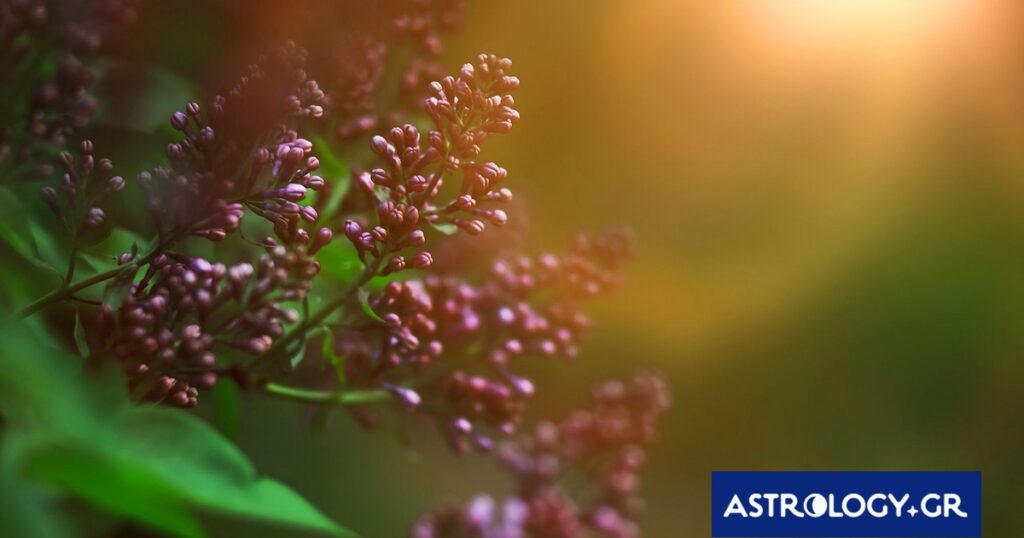 Διάβασε την προσωπική σου πρόβλεψη, για σήμερα 13/03/2026