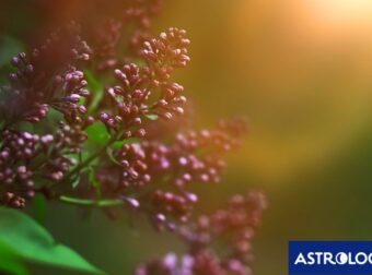 Διάβασε την προσωπική σου πρόβλεψη, για σήμερα 13/03/2026