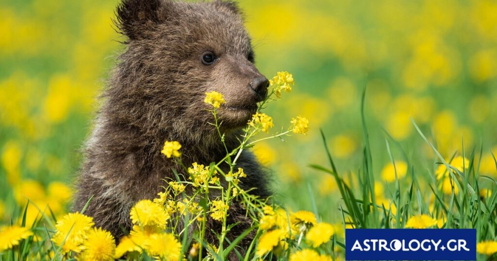 Διάβασε την προσωπική σου πρόβλεψη, για σήμερα 18/03/2026