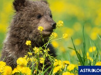 Διάβασε την προσωπική σου πρόβλεψη, για σήμερα 18/03/2026