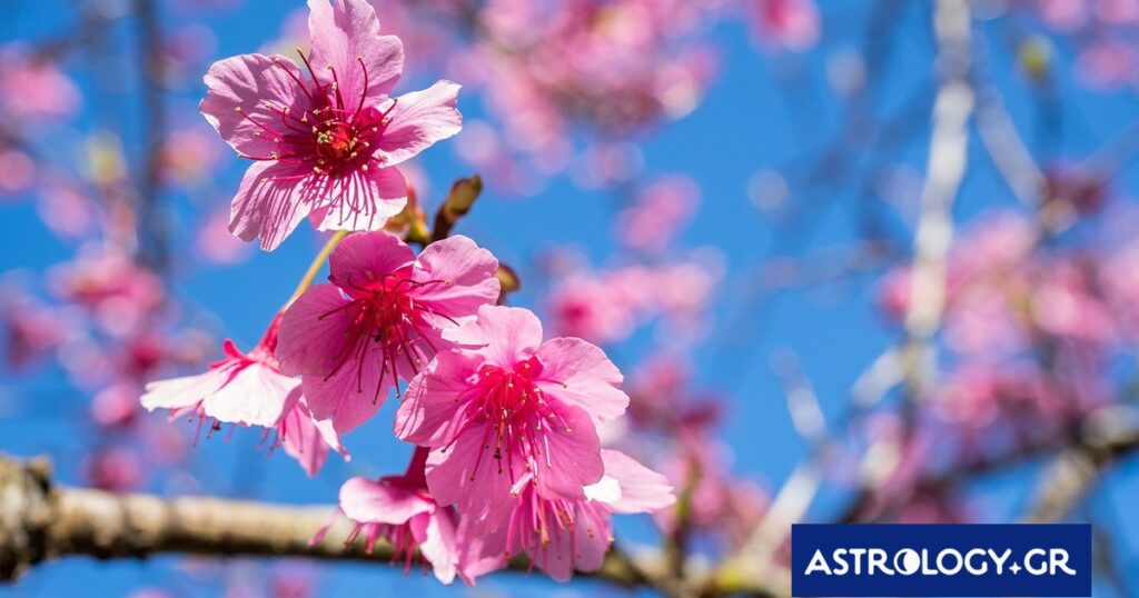 Διάβασε την προσωπική σου πρόβλεψη, για σήμερα 11/04/2026