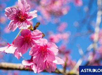 Διάβασε την προσωπική σου πρόβλεψη, για σήμερα 11/04/2026