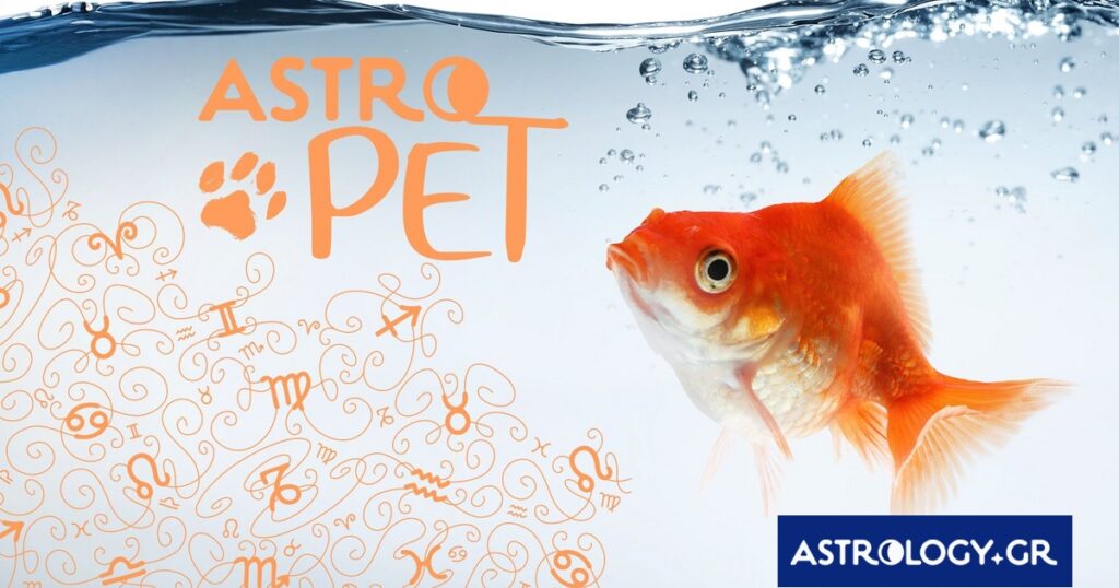 AstroPet από 14/04 έως 20/04: Εβδομαδιαίες προβλέψεις για το κατοικίδιό σου