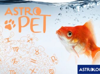 AstroPet από 14/04 έως 20/04: Εβδομαδιαίες προβλέψεις για το κατοικίδιό σου