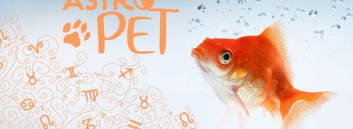 AstroPet από 14/04 έως 20/04: Εβδομαδιαίες προβλέψεις για το κατοικίδιό σου