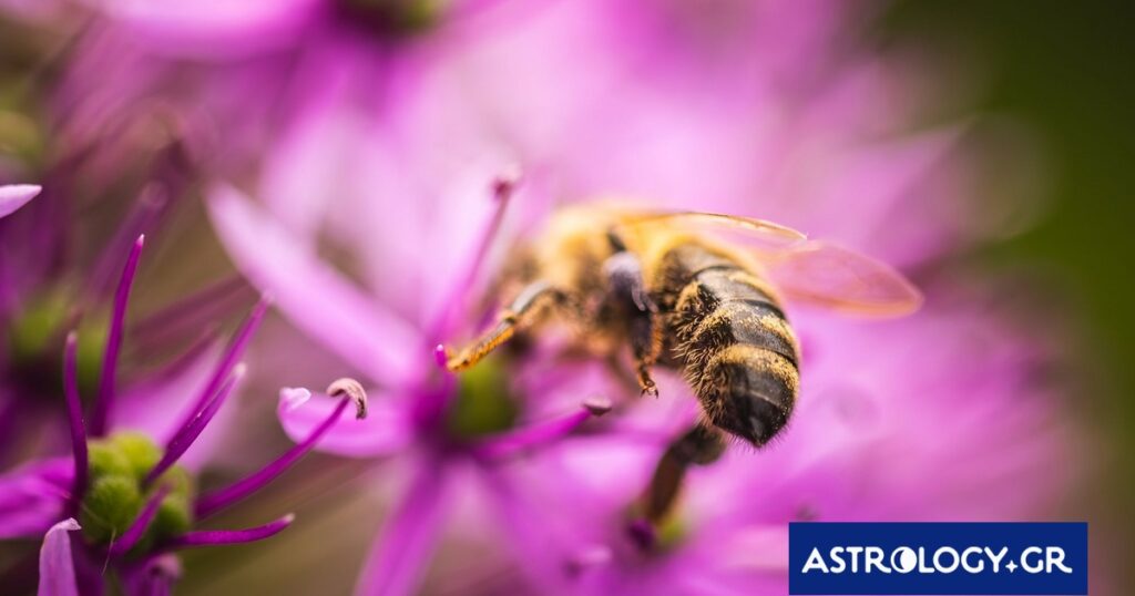 Διάβασε την προσωπική σου πρόβλεψη, για σήμερα 28/04/2026