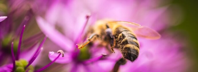 Διάβασε την προσωπική σου πρόβλεψη, για σήμερα 28/04/2026