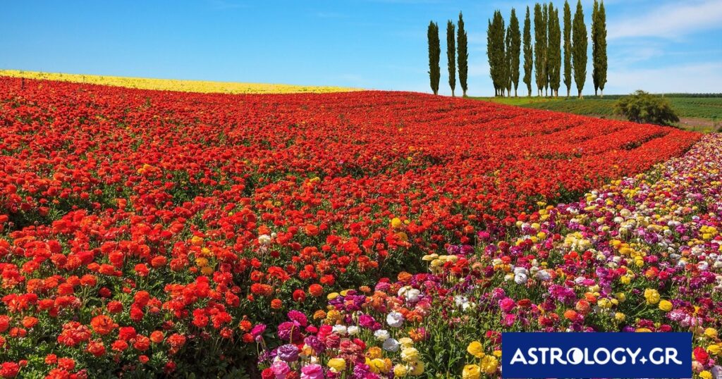 Διάβασε την προσωπική σου πρόβλεψη, για σήμερα 01/04/2026