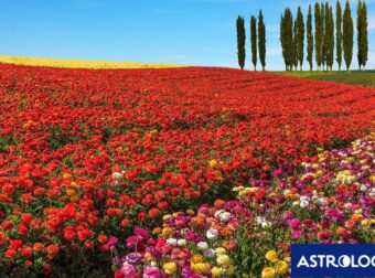 Διάβασε την προσωπική σου πρόβλεψη, για σήμερα 01/04/2026