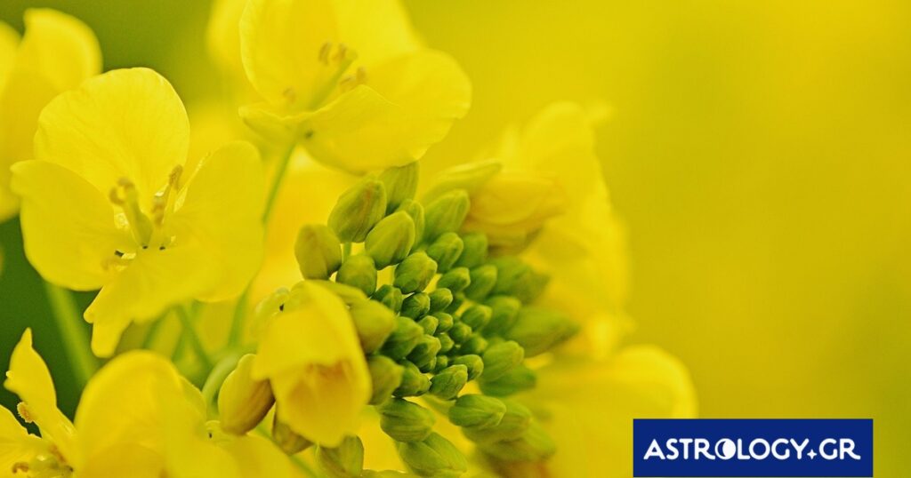 Διάβασε την προσωπική σου πρόβλεψη, για σήμερα 21/04/2026