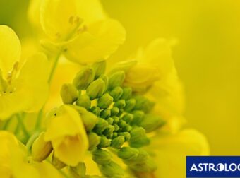 Διάβασε την προσωπική σου πρόβλεψη, για σήμερα 21/04/2026