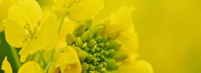 Διάβασε την προσωπική σου πρόβλεψη, για σήμερα 21/04/2026