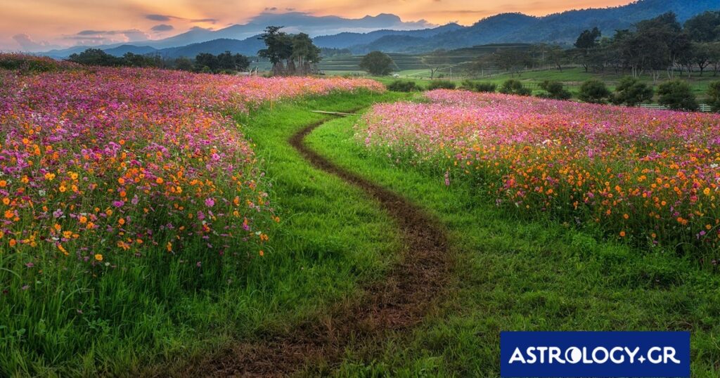 Διάβασε την προσωπική σου πρόβλεψη, για σήμερα 09/04/2026