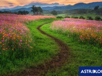 Διάβασε την προσωπική σου πρόβλεψη, για σήμερα 09/04/2026