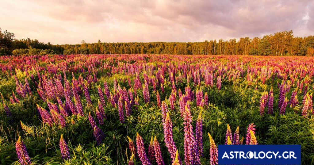 Διάβασε την προσωπική σου πρόβλεψη, για σήμερα 25/04/2026