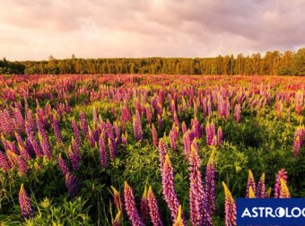 Διάβασε την προσωπική σου πρόβλεψη, για σήμερα 25/04/2026