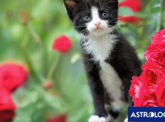 Διάβασε την προσωπική σου πρόβλεψη, για σήμερα 24/04/2026