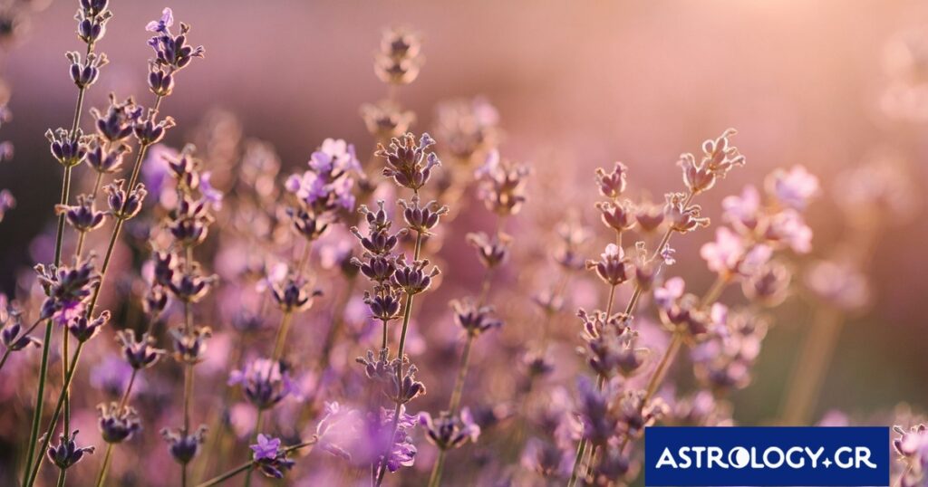 Διάβασε την προσωπική σου πρόβλεψη, για σήμερα 03/04/2026