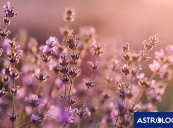 Διάβασε την προσωπική σου πρόβλεψη, για σήμερα 03/04/2026