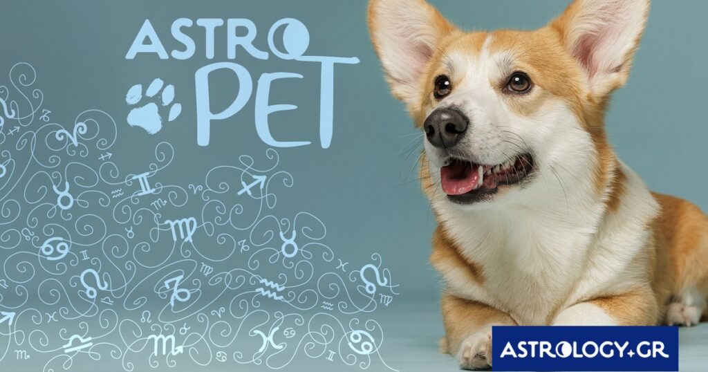 AstroPet από 21/04 έως 27/04: Εβδομαδιαίες προβλέψεις για το κατοικίδιό σου