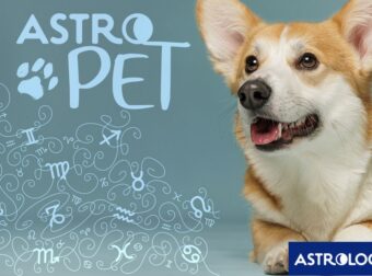 AstroPet από 21/04 έως 27/04: Εβδομαδιαίες προβλέψεις για το κατοικίδιό σου