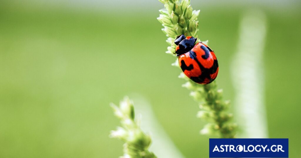 Διάβασε την προσωπική σου πρόβλεψη, για σήμερα 14/04/2026