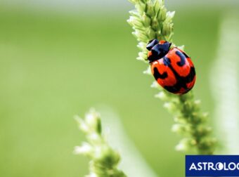 Διάβασε την προσωπική σου πρόβλεψη, για σήμερα 14/04/2026