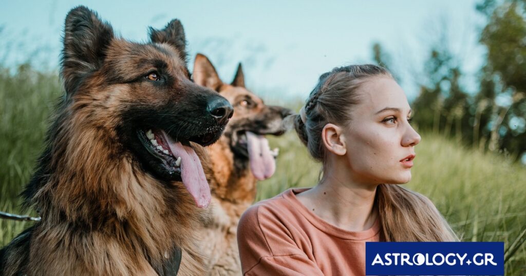 Ποια ζώδια θέλουν να περνούν περισσότερο χρόνο με τα κατοικίδιά τους παρά με τους ανθρώπους;