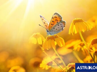 Διάβασε την προσωπική σου πρόβλεψη, για σήμερα 17/04/2026