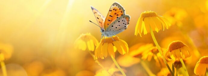 Διάβασε την προσωπική σου πρόβλεψη, για σήμερα 17/04/2026