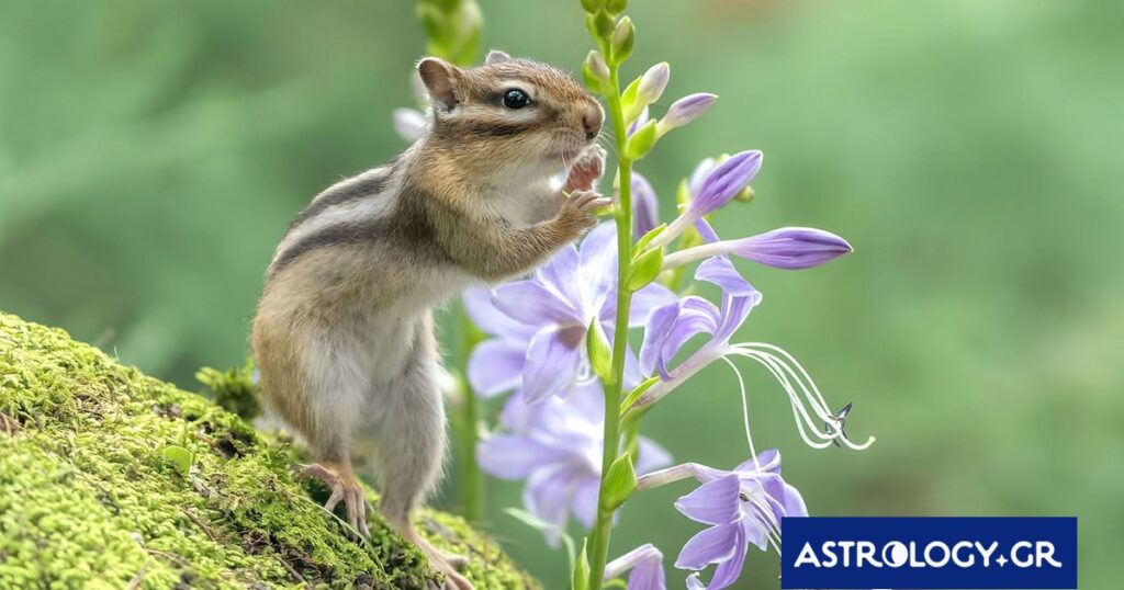 Διάβασε την προσωπική σου πρόβλεψη, για σήμερα 22/04/2026